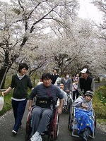 お花見